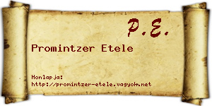 Promintzer Etele névjegykártya